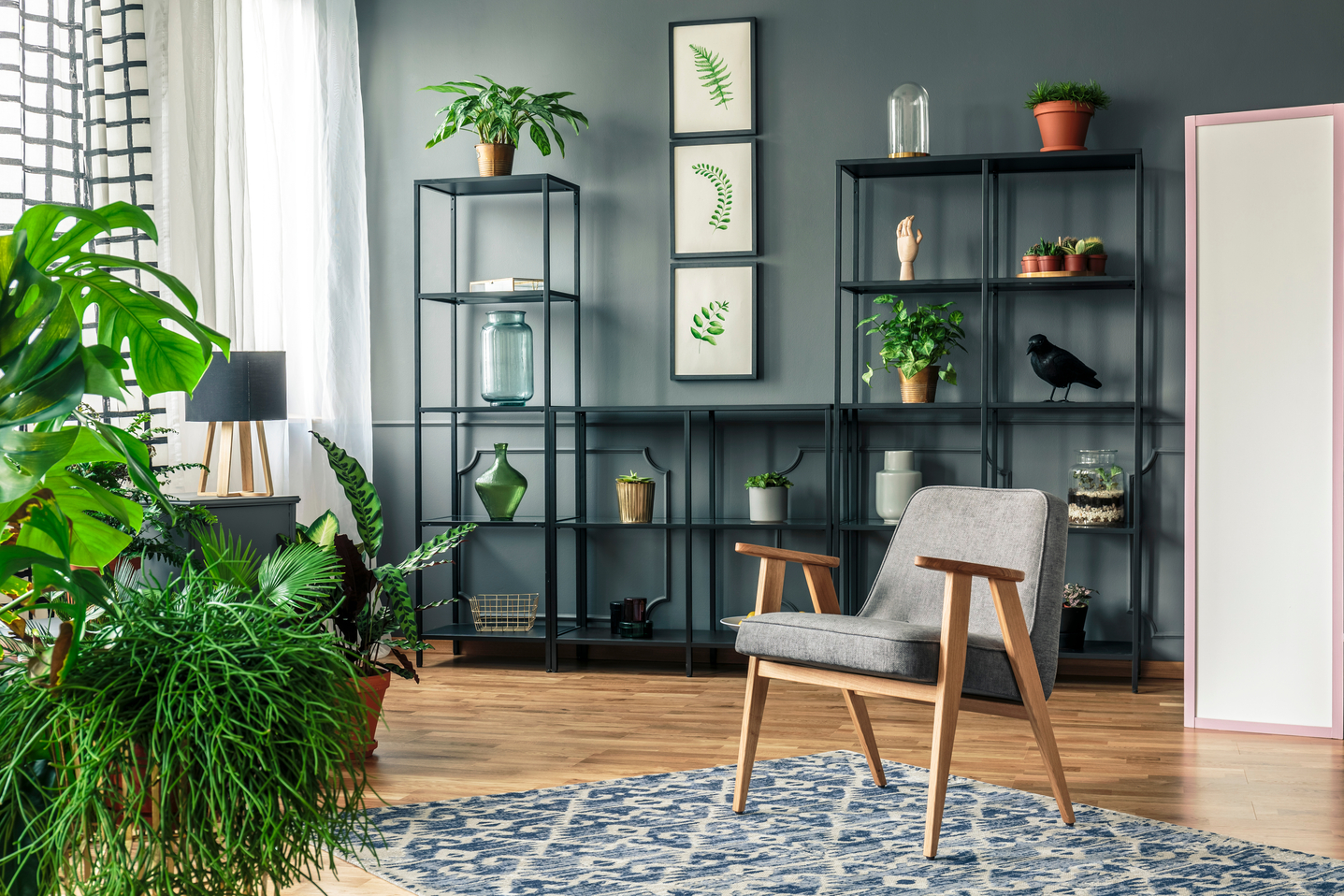 3 razones para decorar tu hogar con plantas.